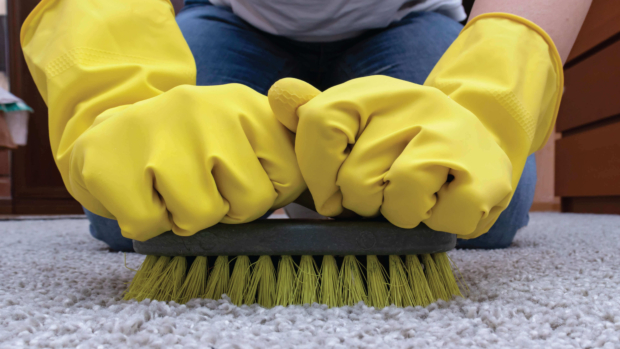 6 Benefits of Using Carpet Guards During Commercial Projects 6 Benefits of Using Carpet Guards During Commercial Projects