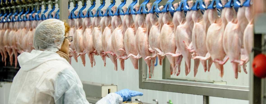 Food Processing Cleanrooms - What Are The Types and Requirements Food Processing Cleanrooms - What Are The Types and Requirements
