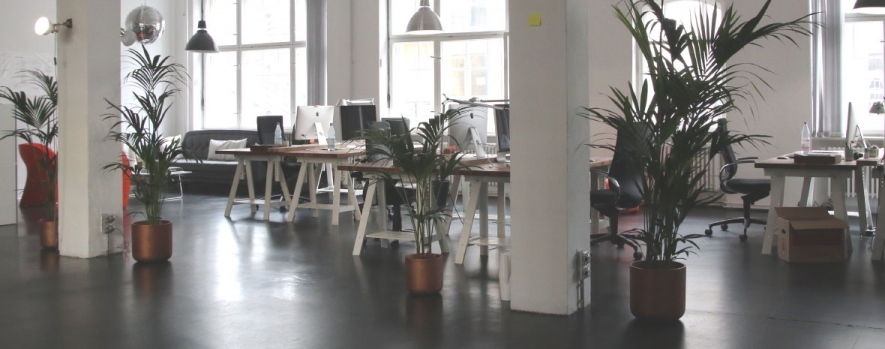 Maintaining Cleanliness In Your Office Environment Maintaining Cleanliness In Your Office Environment