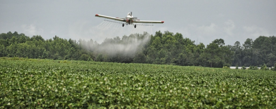 Picking The Right PPE For Pesticides Spraying Picking The Right PPE For Pesticides Spraying