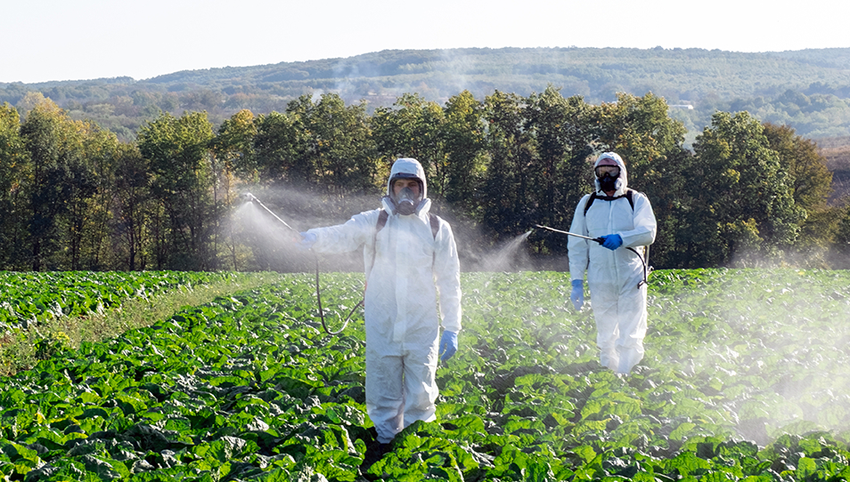 Pesticides and Harsh Chemicals Pesticides and Harsh Chemicals