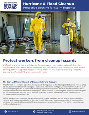 Hurricane and Floodwater Cleanup